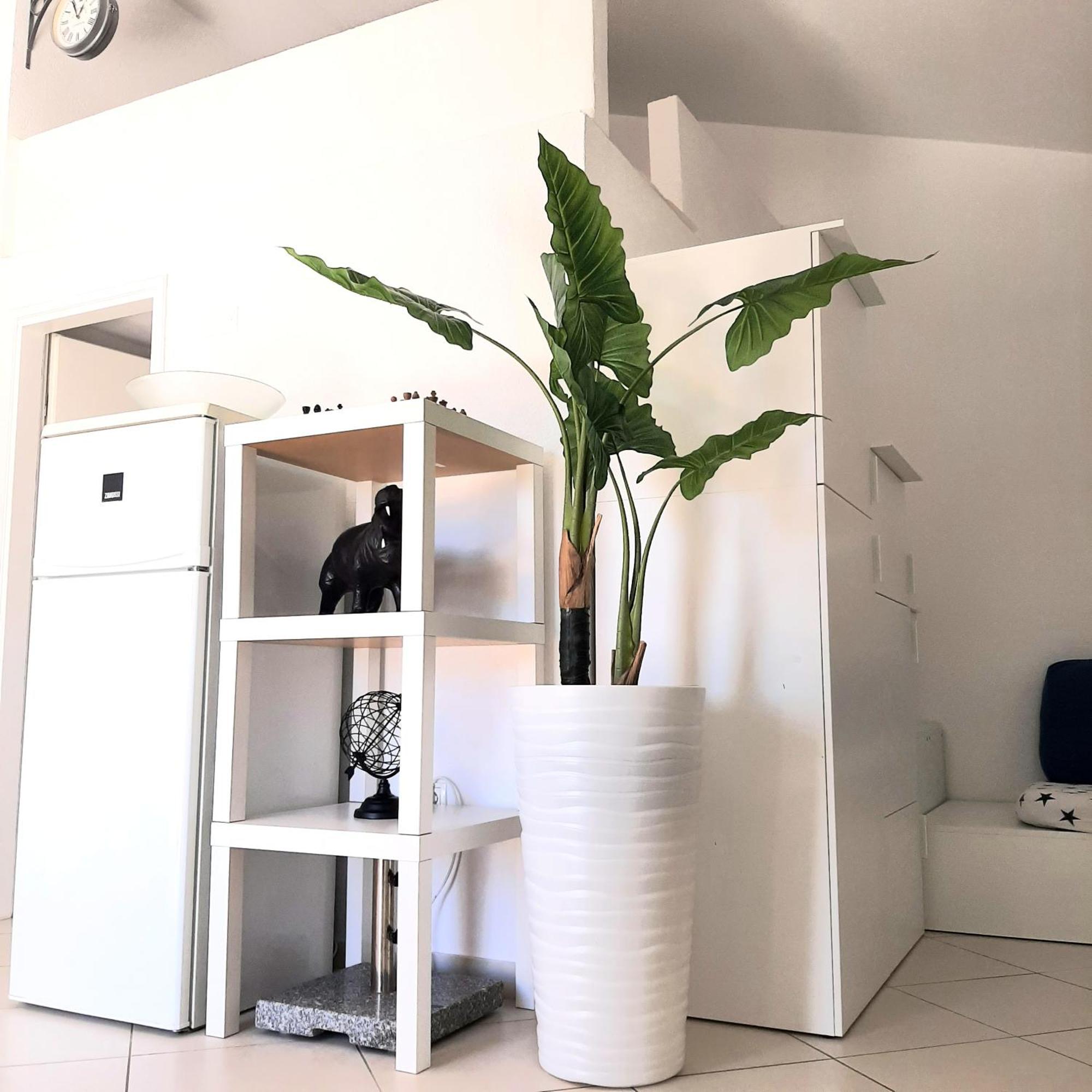 House Of Art Appartamento Nin